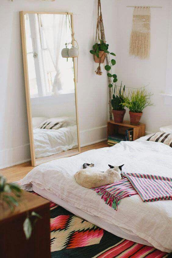 chambre avec miroir et plantes