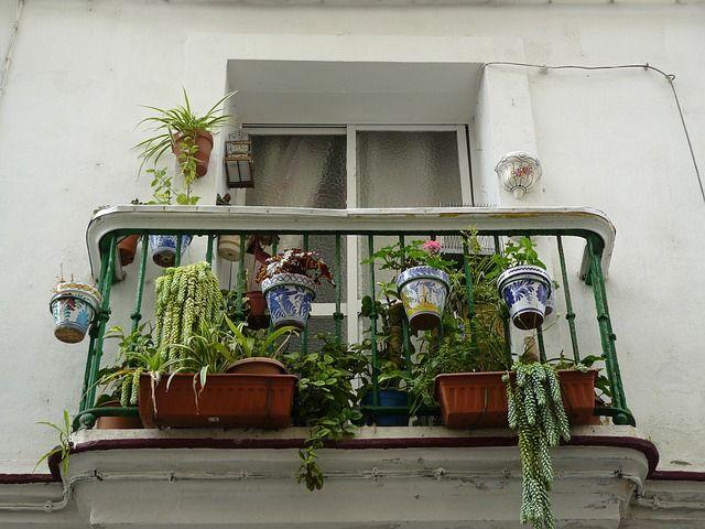 balcony guardrail plants_renoquotes.com_garde corps balcon