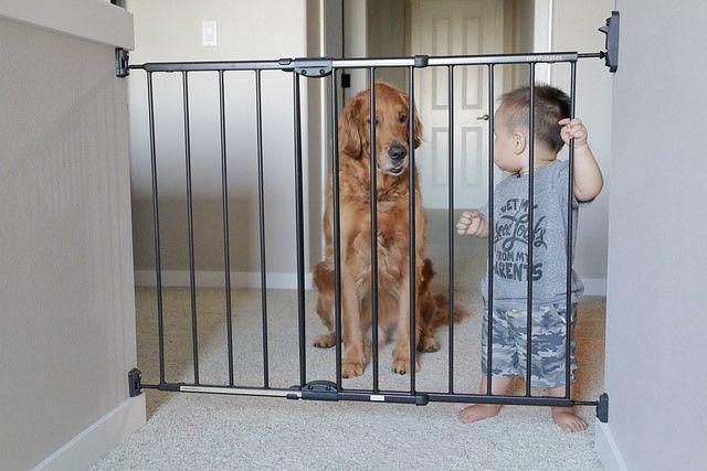 barrière d'enfant_Comment adapter votre maison pour un jeune enfant