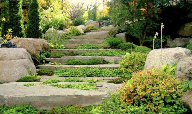 Escalier verdure