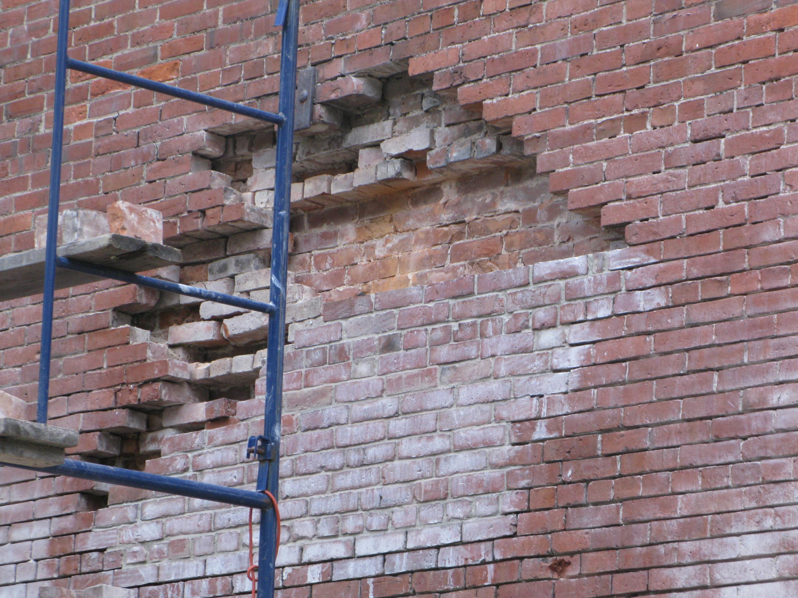 Ventre de boeuf sur mur de briques