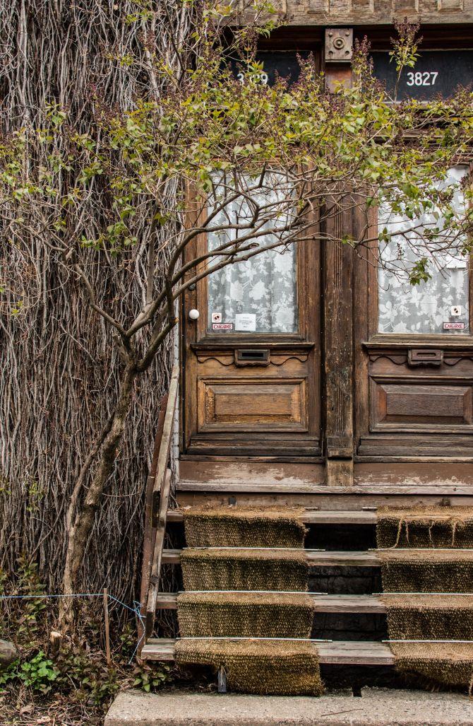 maison montréal abimé