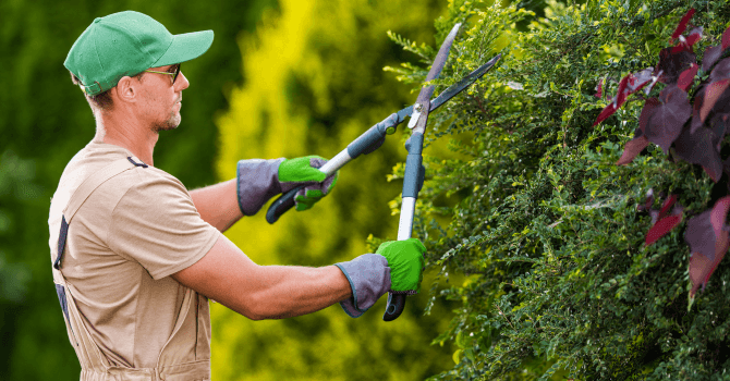 préparer son terrain au printemps