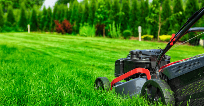 préparer son terrain au printemps