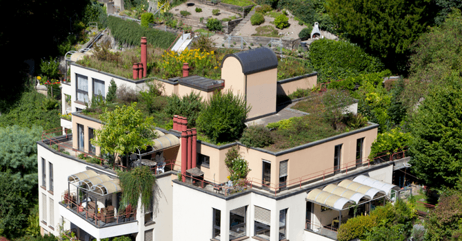 Toits verts avec ou sans jardin