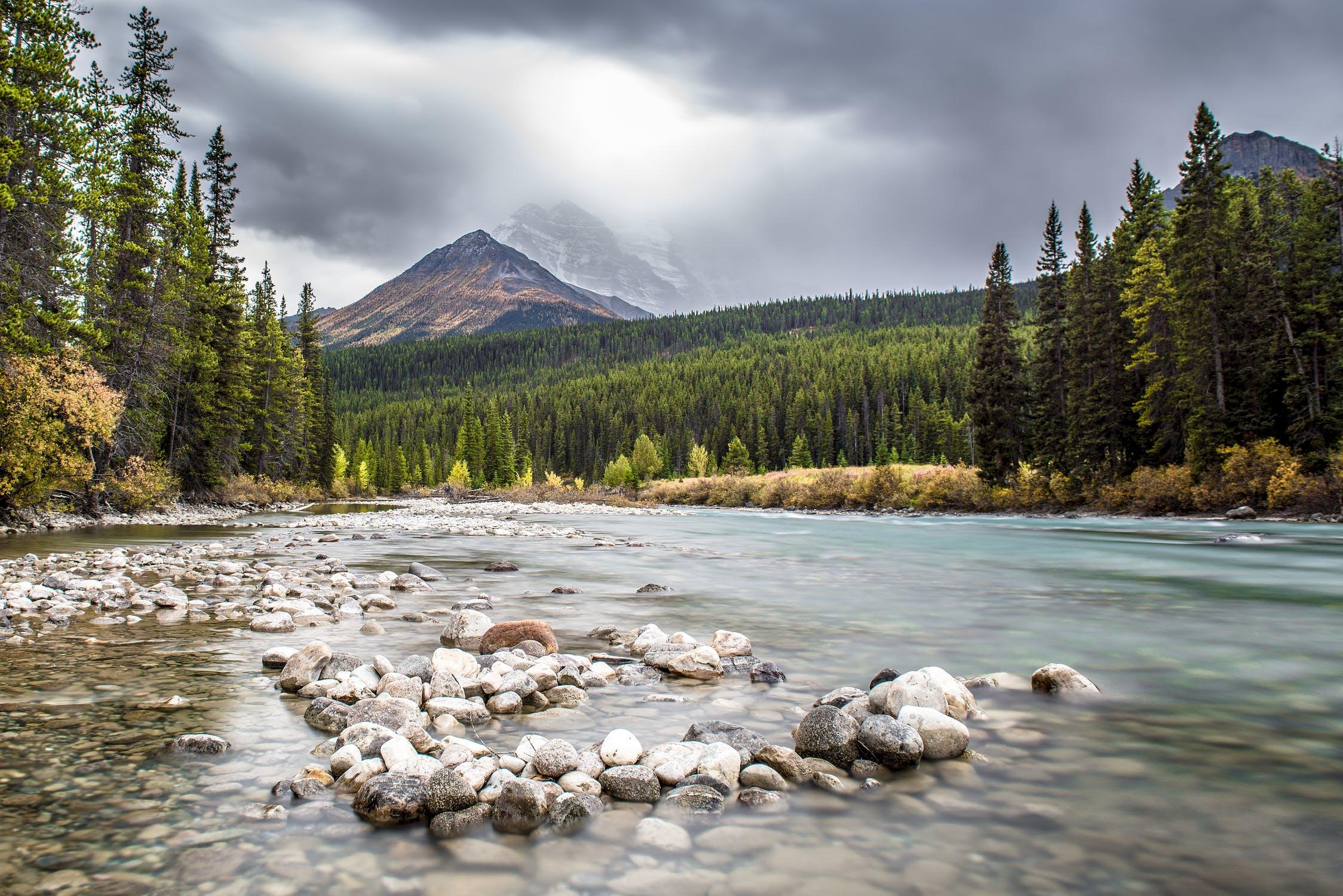 paysage canadien