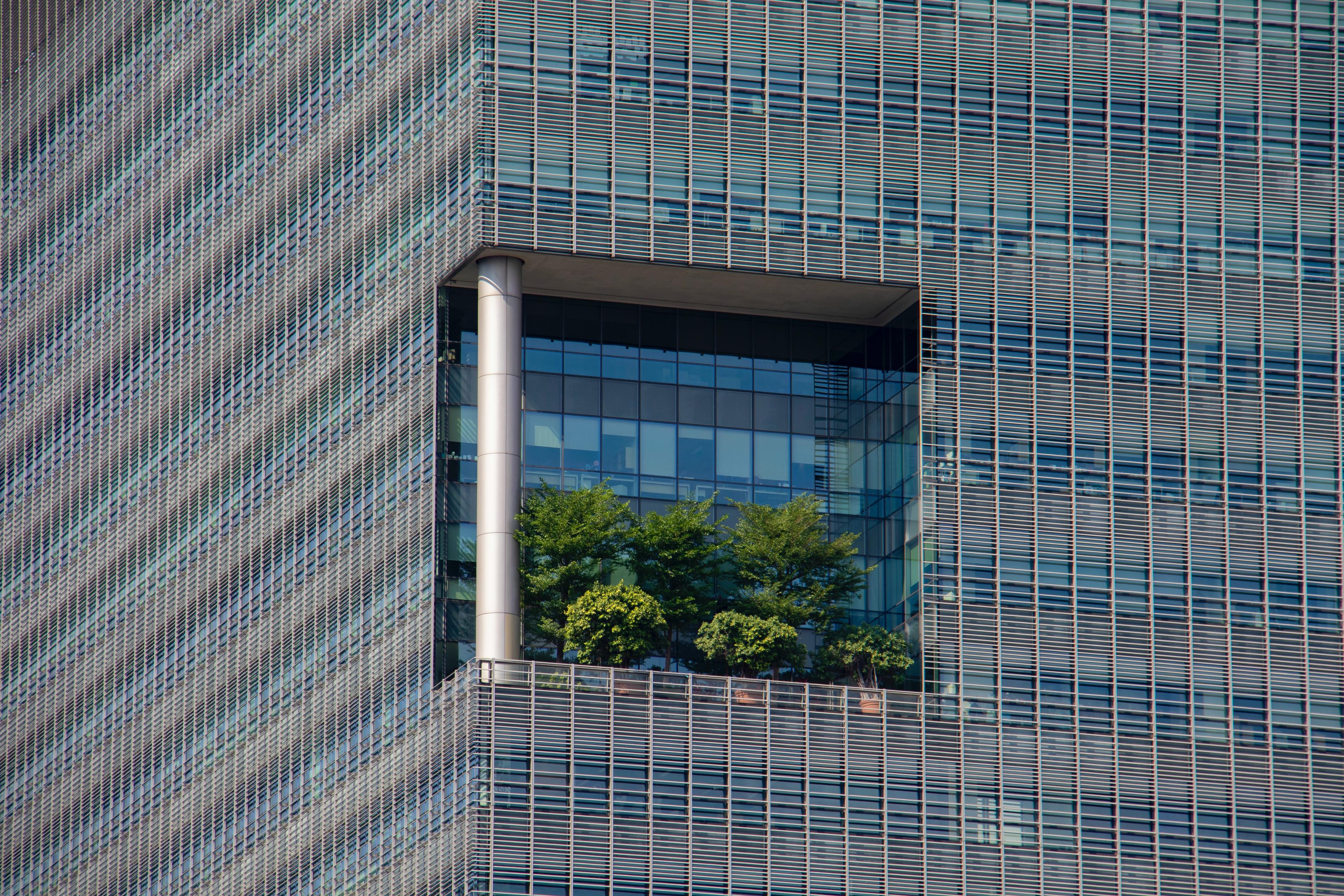 bâtiment et arbres_Comment sauver de l'argent grâce à la rénovation écoénergétique ?