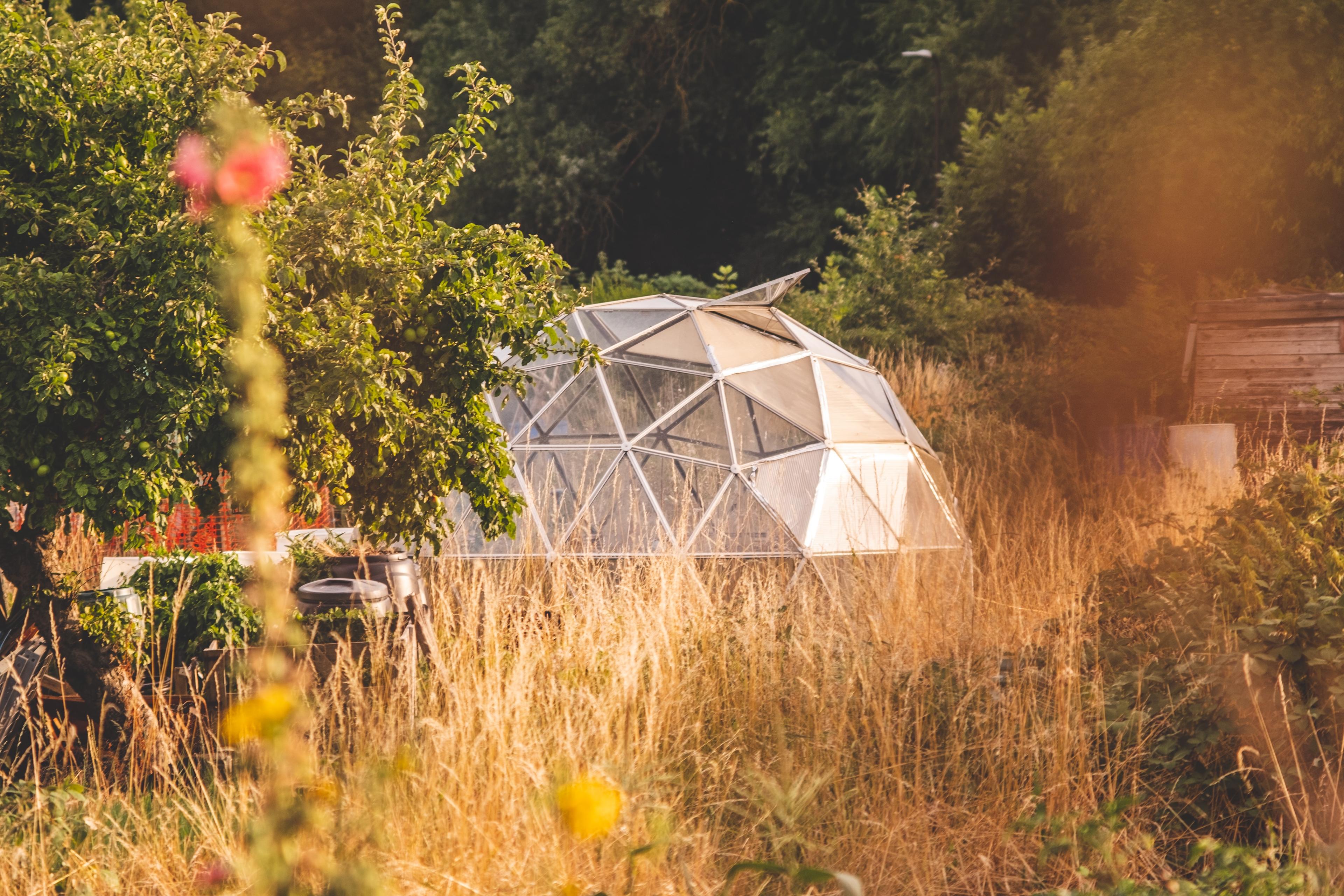 serre en dôme_serre de jardin: comment l'entretenir?