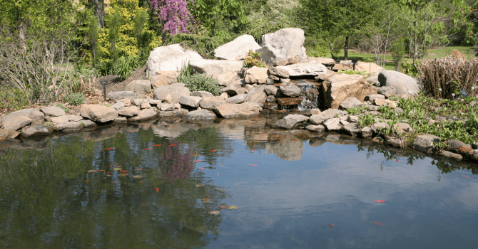 piscine naturelle